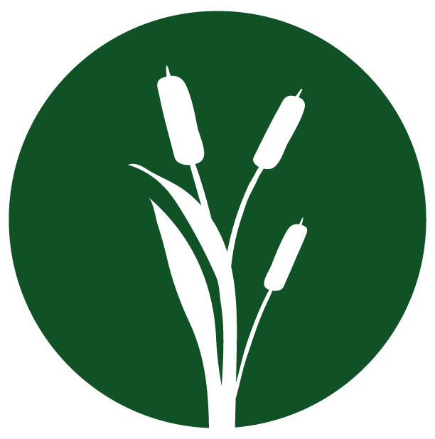 logo MoustiCapt logo MoustiCapt